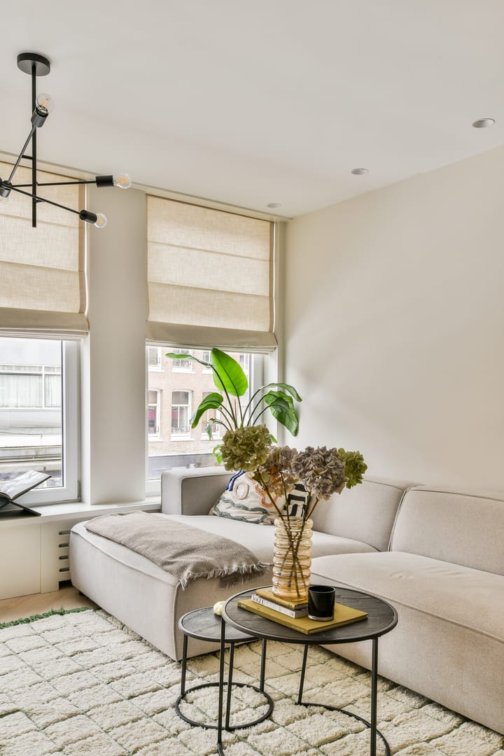 Foto 2 van Albert Cuypstraat 231-1