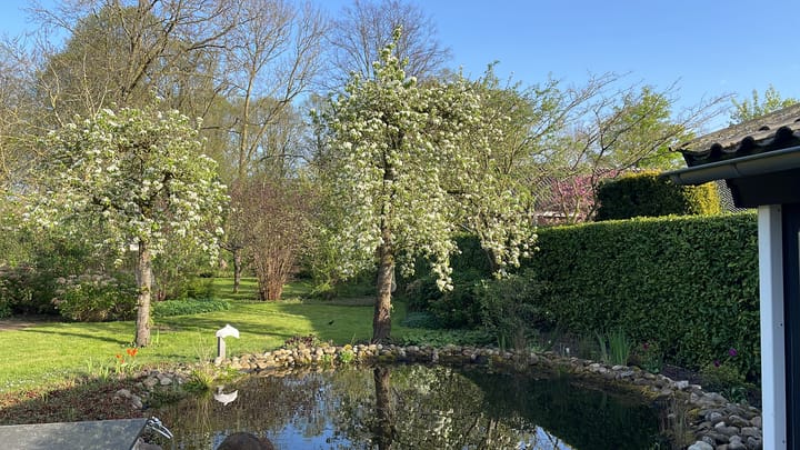 Foto 78 van Achterstraat 20-A