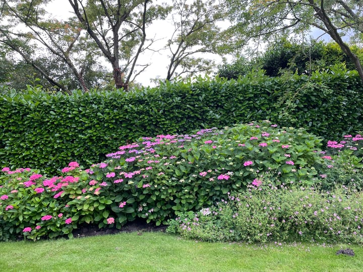 Foto 88 van Achterstraat 20-A