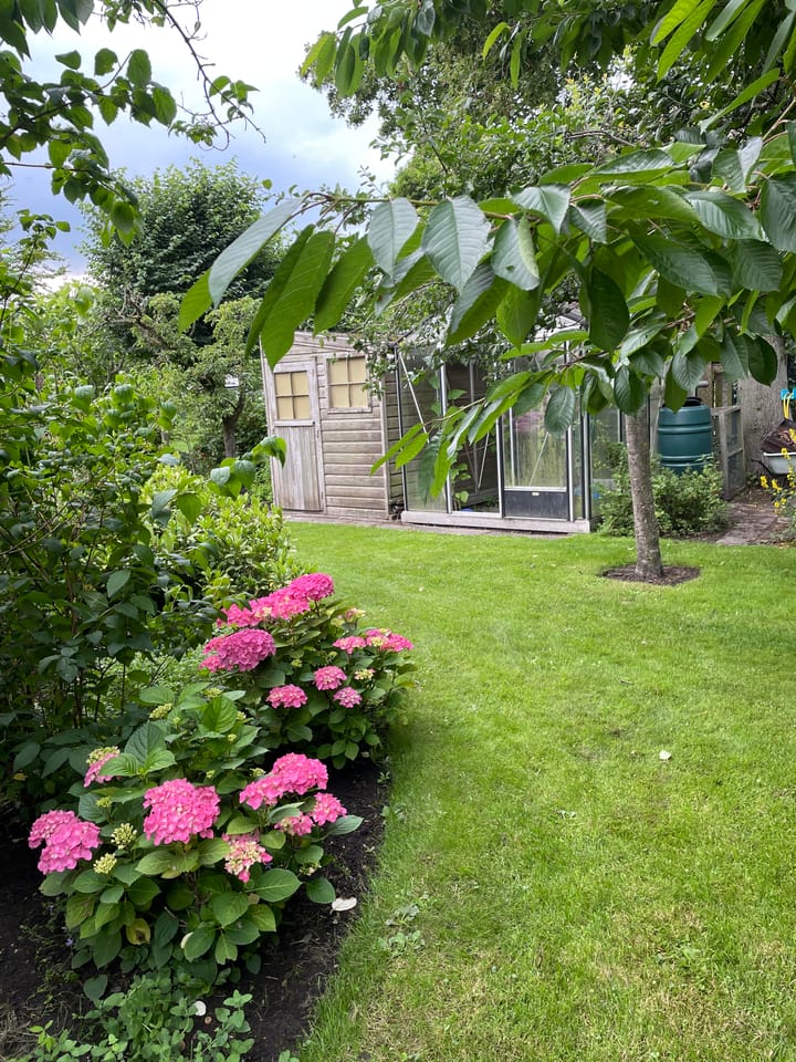 Foto 91 van Achterstraat 20-A