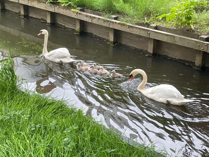 Foto 95 van Achterstraat 20-A