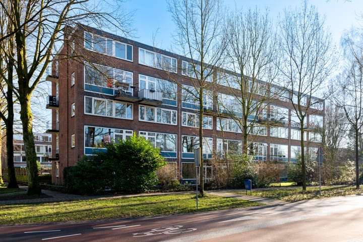 Foto 22 van Van 't Hoffstraat 43