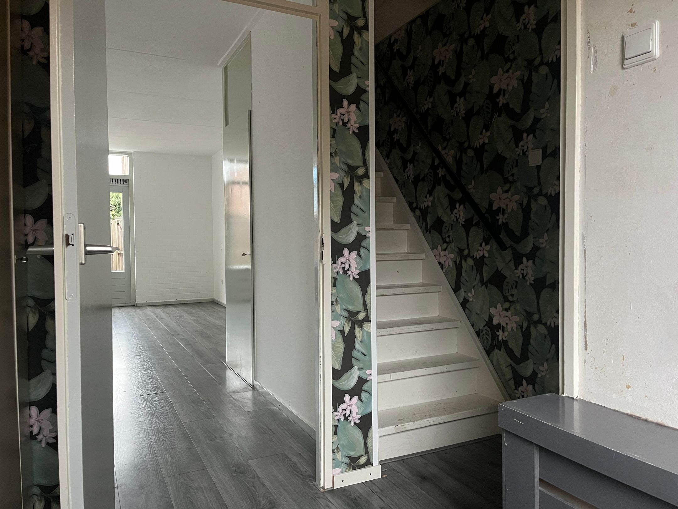 Foto 3 van Eekhoorntjesbrood 5