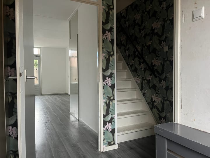 Foto 3 van Eekhoorntjesbrood 5