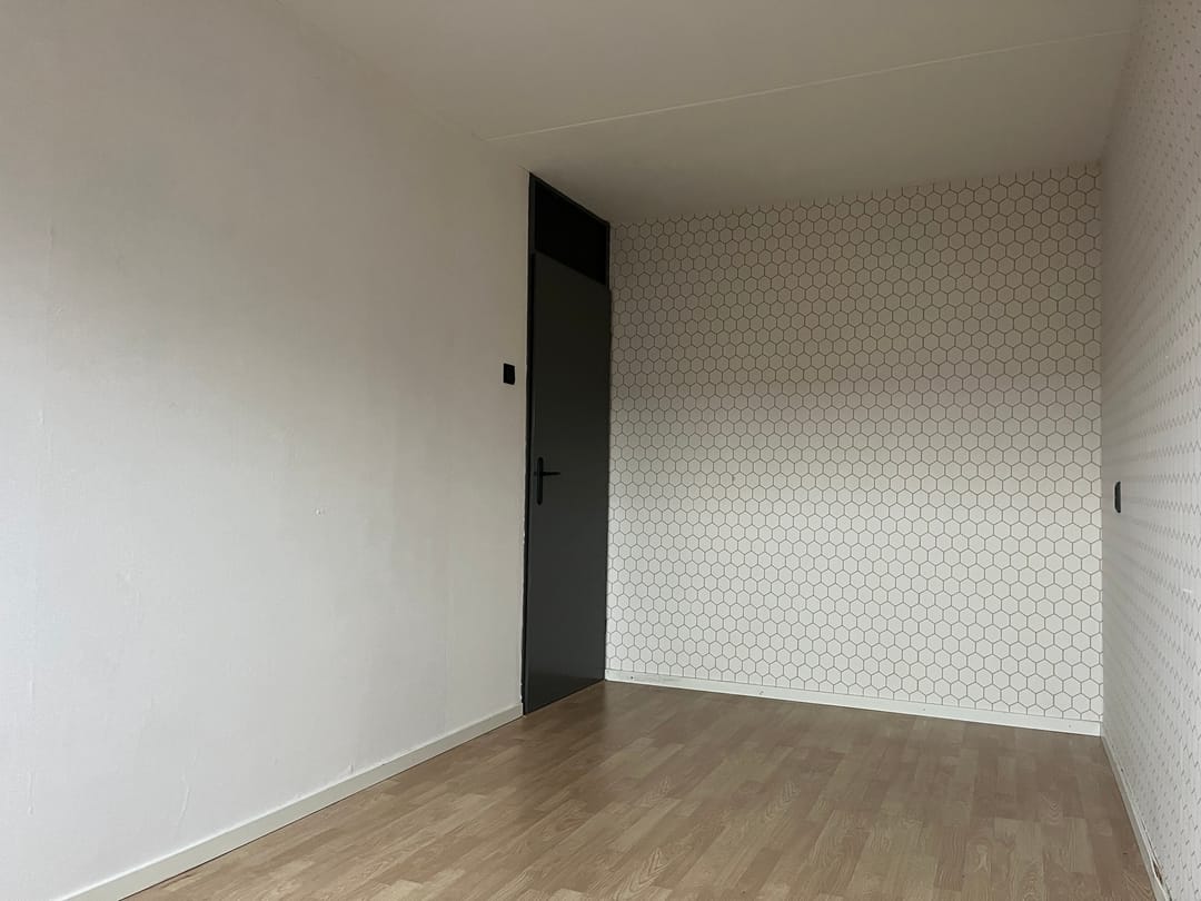 Foto 11 van Eekhoorntjesbrood 5