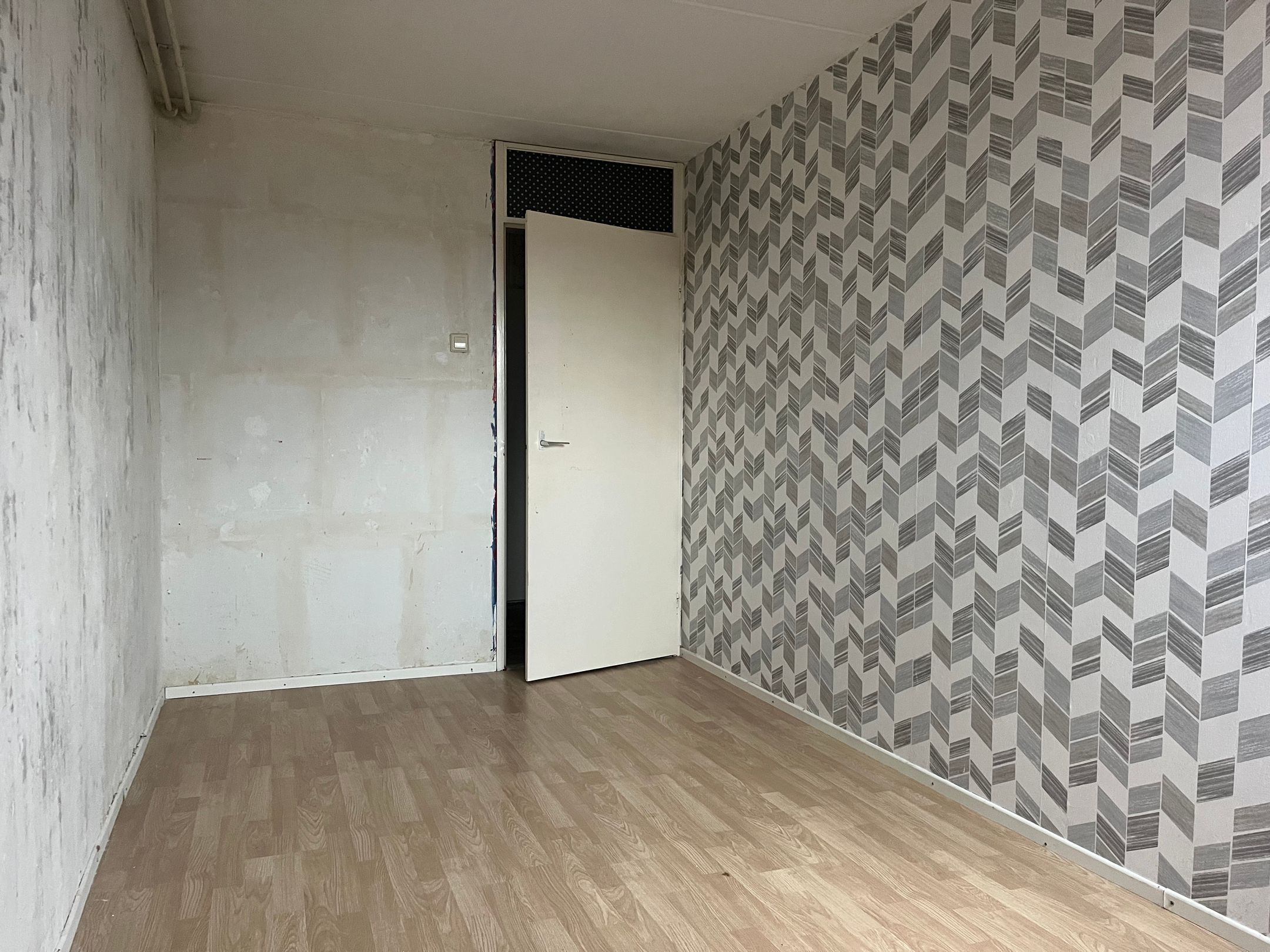 Foto 12 van Eekhoorntjesbrood 5