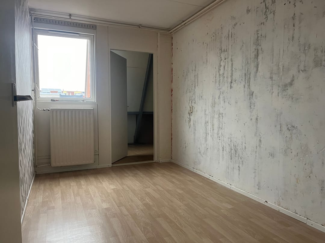 Foto 13 van Eekhoorntjesbrood 5