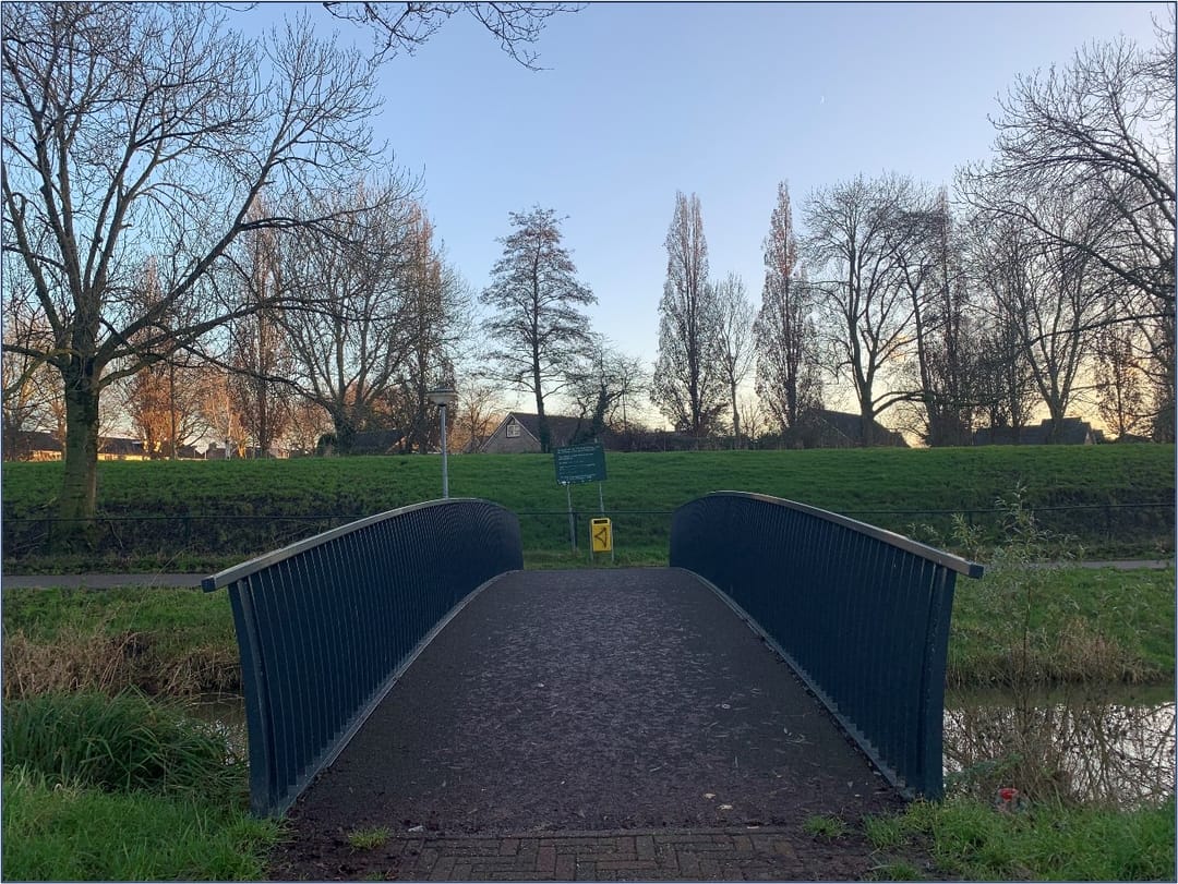 Foto 26 van Eekhoorntjesbrood 5