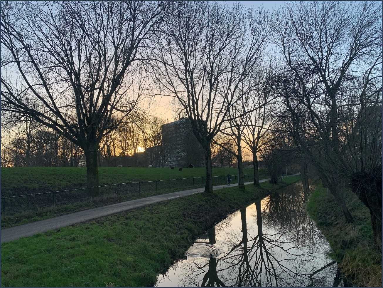 Foto 27 van Eekhoorntjesbrood 5