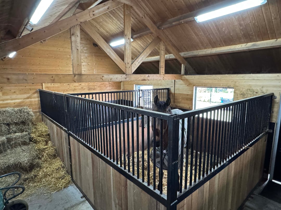 Foto 37 van Nieuwe Dijk 21