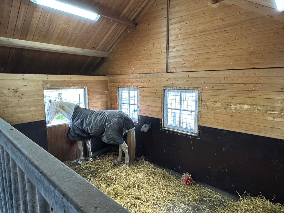 Foto 38 van Nieuwe Dijk 21