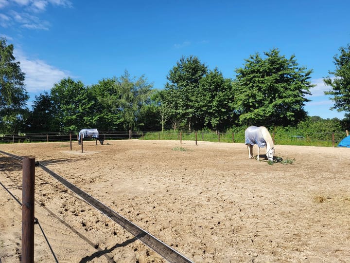 Foto 49 van Nieuwe Dijk 21