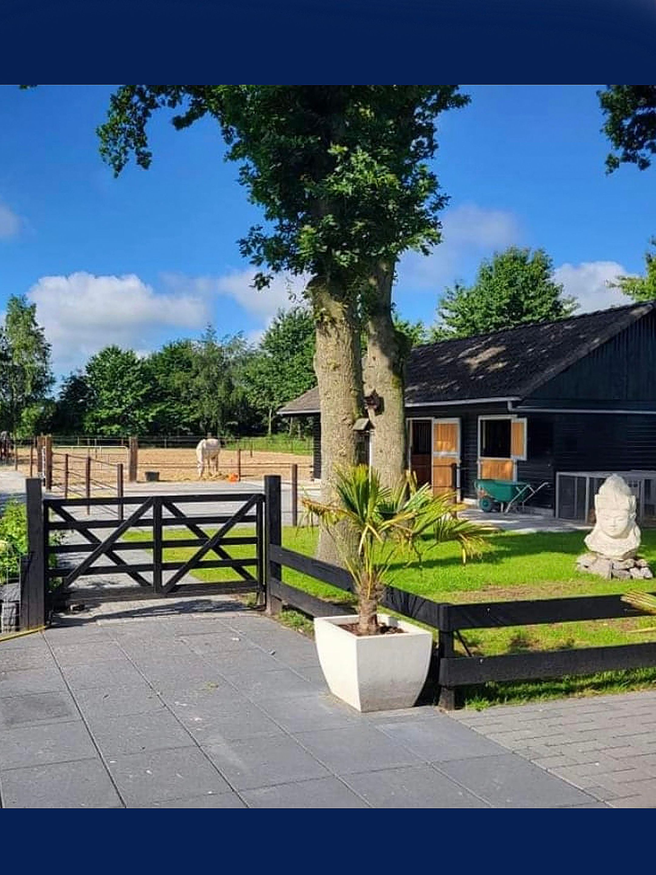 Foto 51 van Nieuwe Dijk 21