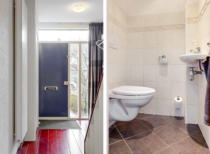 Foto 12 van Linnaeushove 7