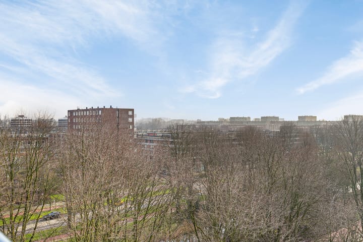 Foto 8 van Langswater 343