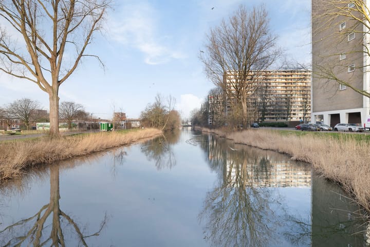 Foto 29 van Langswater 343