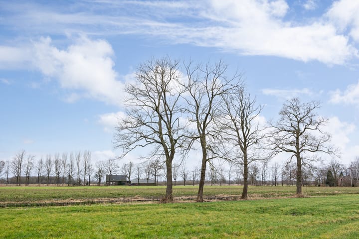 Foto 41 van Dennendreef 5-033