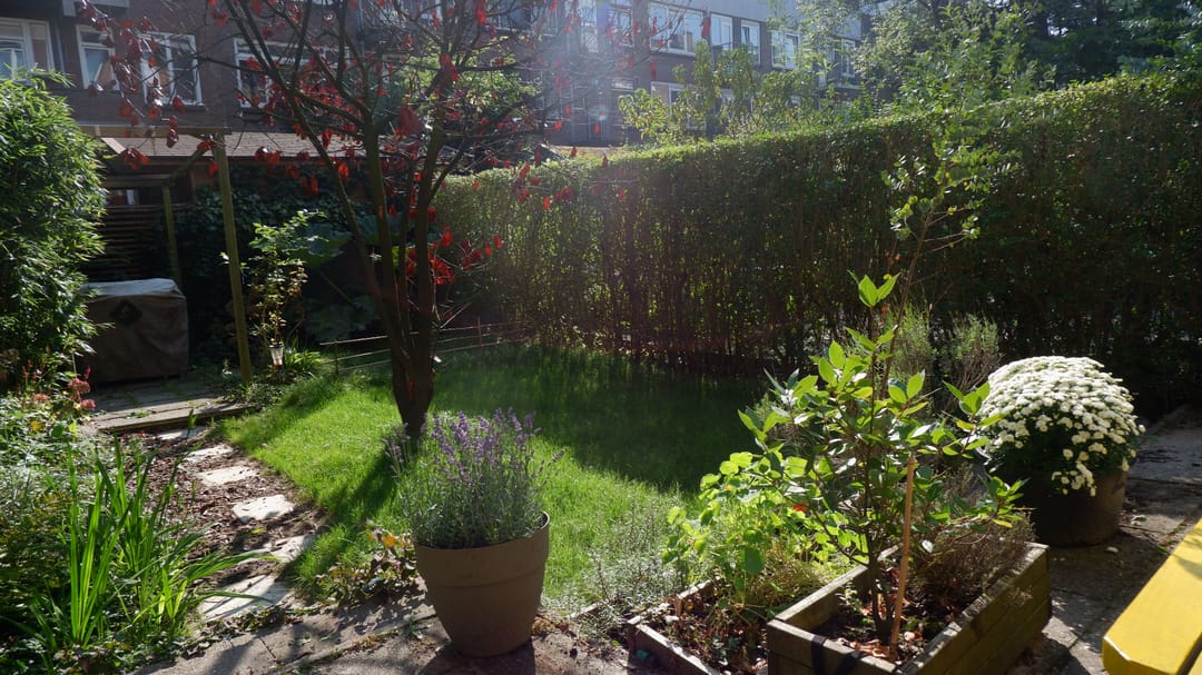 Foto 28 van Stadhoudersweg 10-A