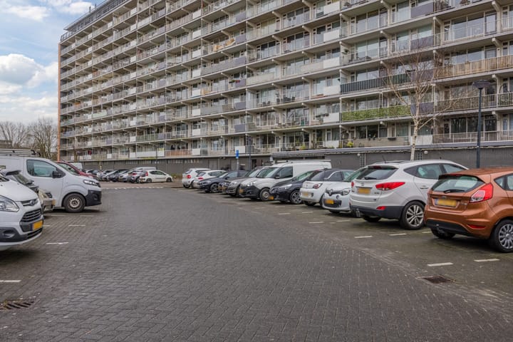 Photo 26 of Bachplein 491