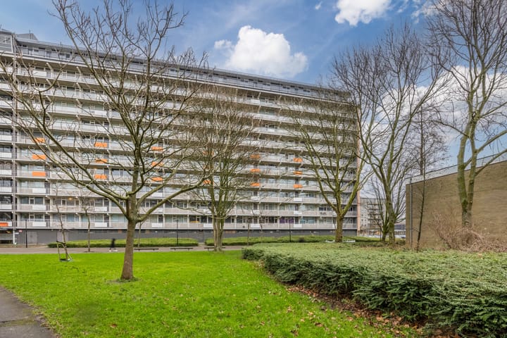 Photo 29 of Bachplein 491