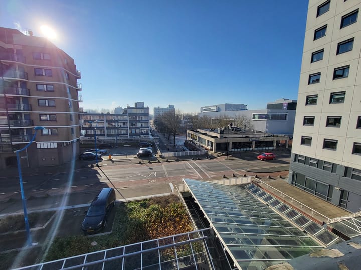 Foto 5 van Liesveld 100