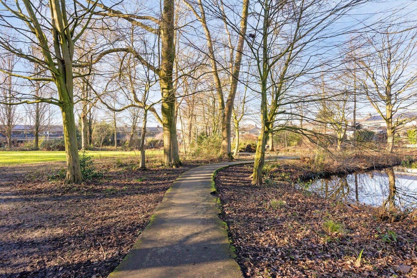 Foto 29 van Kamgras 28