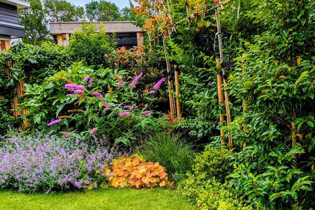 Foto 22 van Oostmadeweg 50