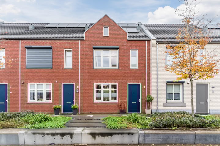 Foto 1 van Zilverschat 6