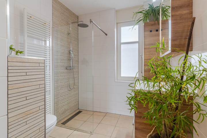 Foto 4 van Zilverschat 6