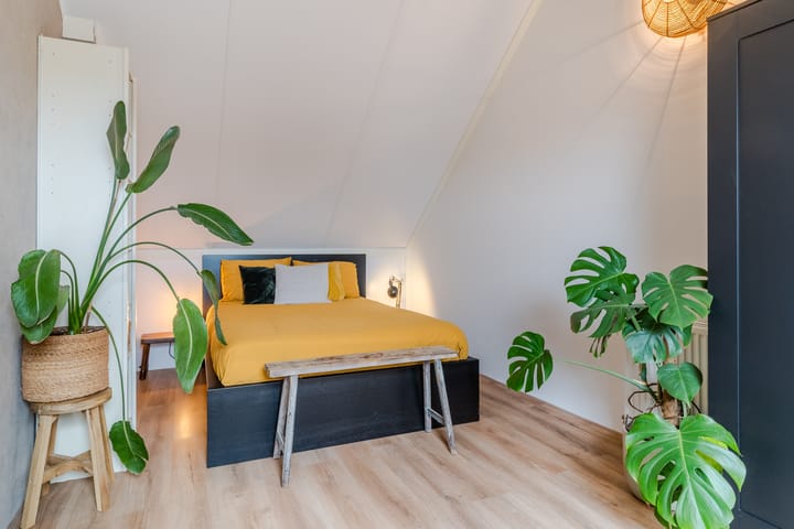 Foto 6 van Zilverschat 6