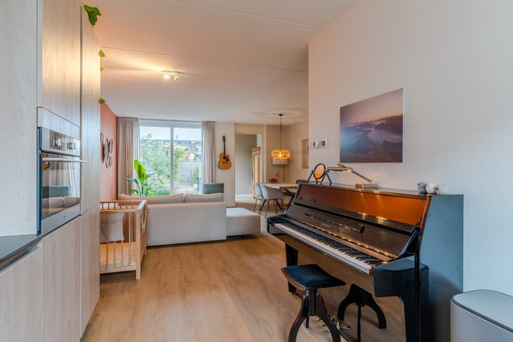 Foto 16 van Zilverschat 6