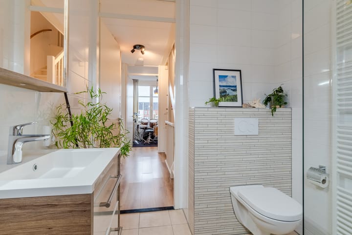 Foto 23 van Zilverschat 6