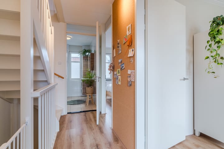 Foto 24 van Zilverschat 6