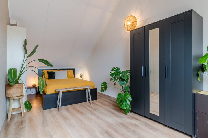 Foto 27 van Zilverschat 6