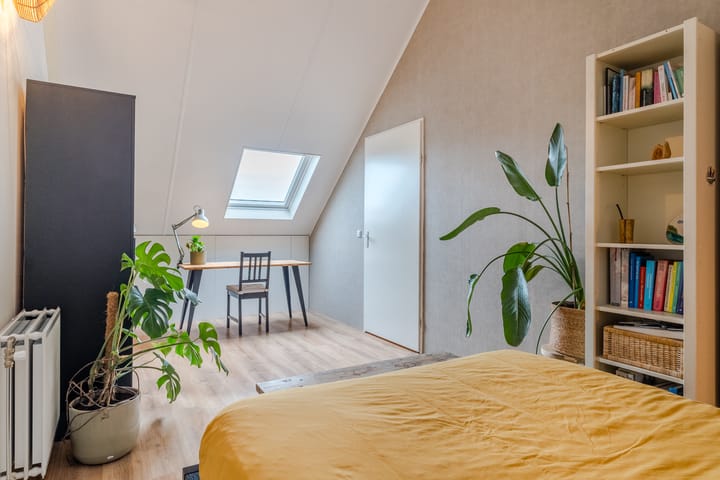 Foto 28 van Zilverschat 6