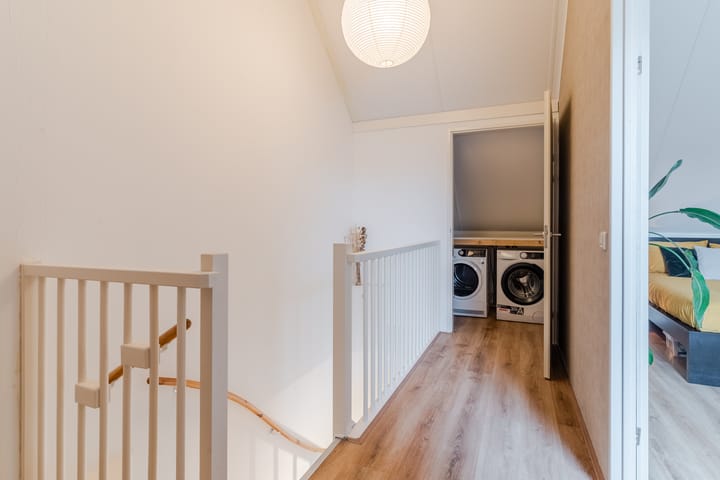 Foto 30 van Zilverschat 6