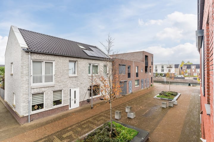 Foto 31 van Zilverschat 6