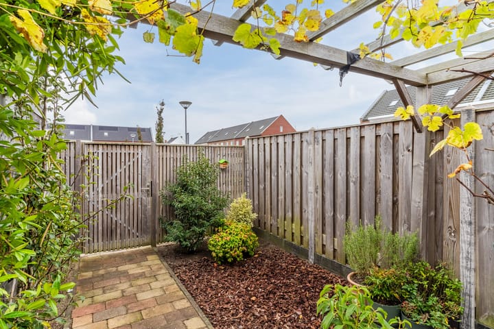 Foto 34 van Zilverschat 6