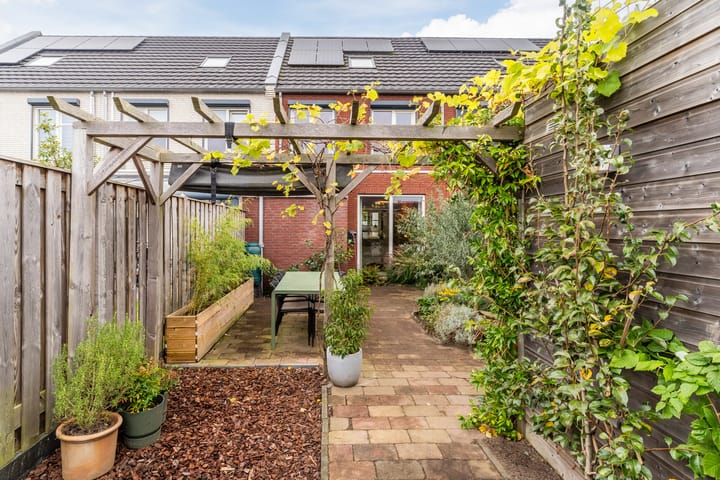 Foto 35 van Zilverschat 6