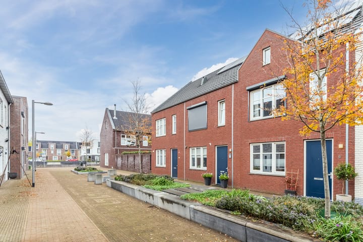 Foto 36 van Zilverschat 6