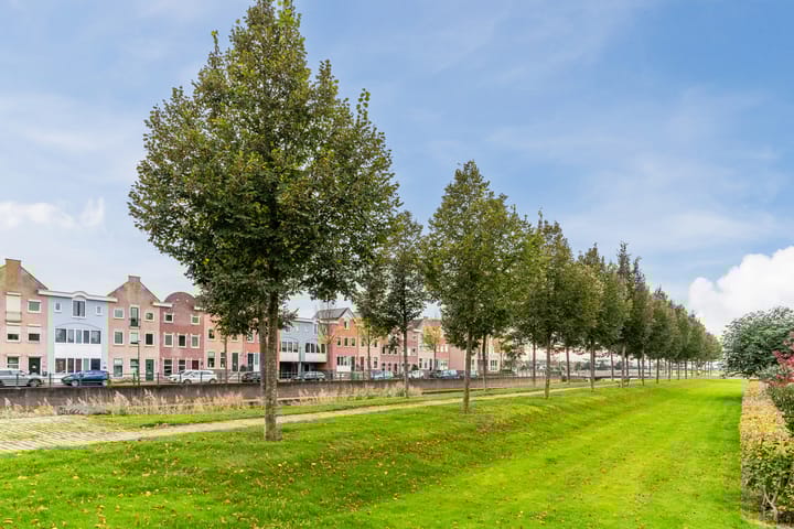 Foto 37 van Zilverschat 6