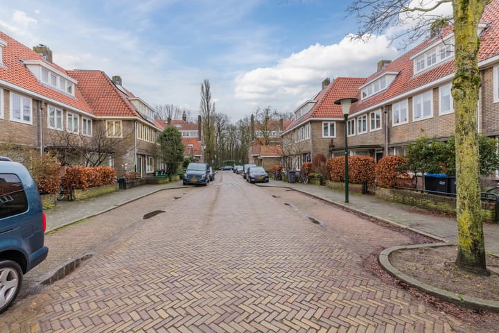 Foto 53 van Strobloemstraat 52