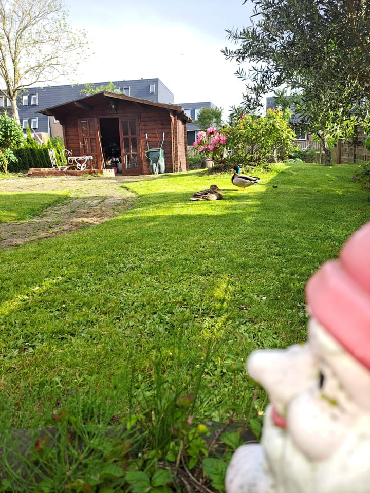 Foto 42 van Botter 28 42