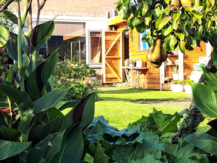 Foto 43 van Botter 28 42