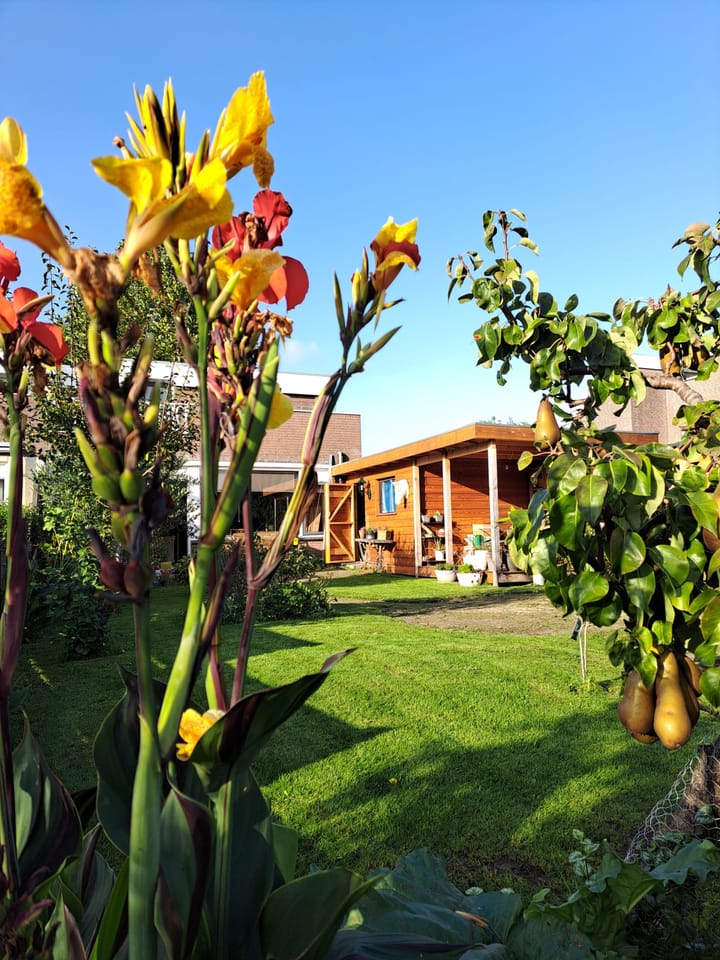 Foto 44 van Botter 28 42