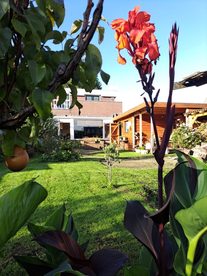 Foto 45 van Botter 28 42