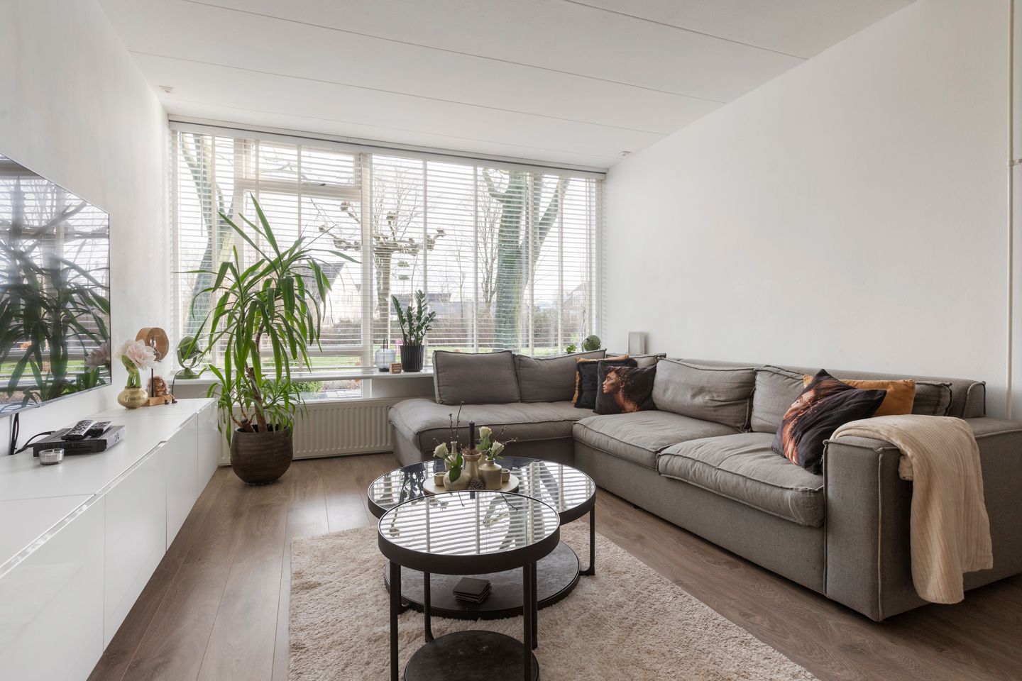 Foto 6 van Kortenaer 12