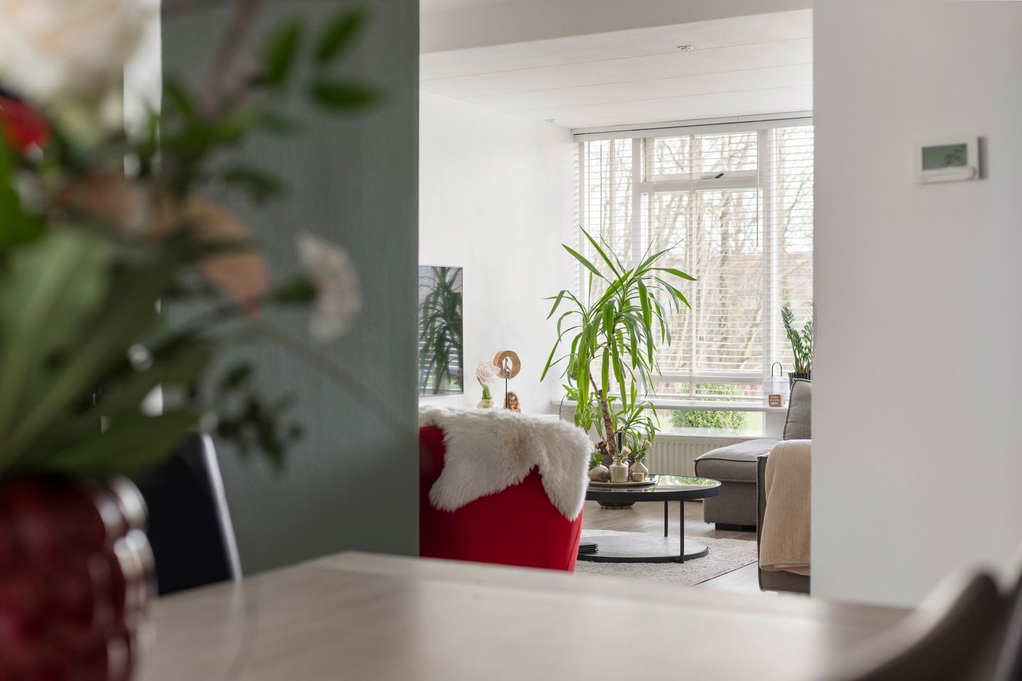 Foto 14 van Kortenaer 12