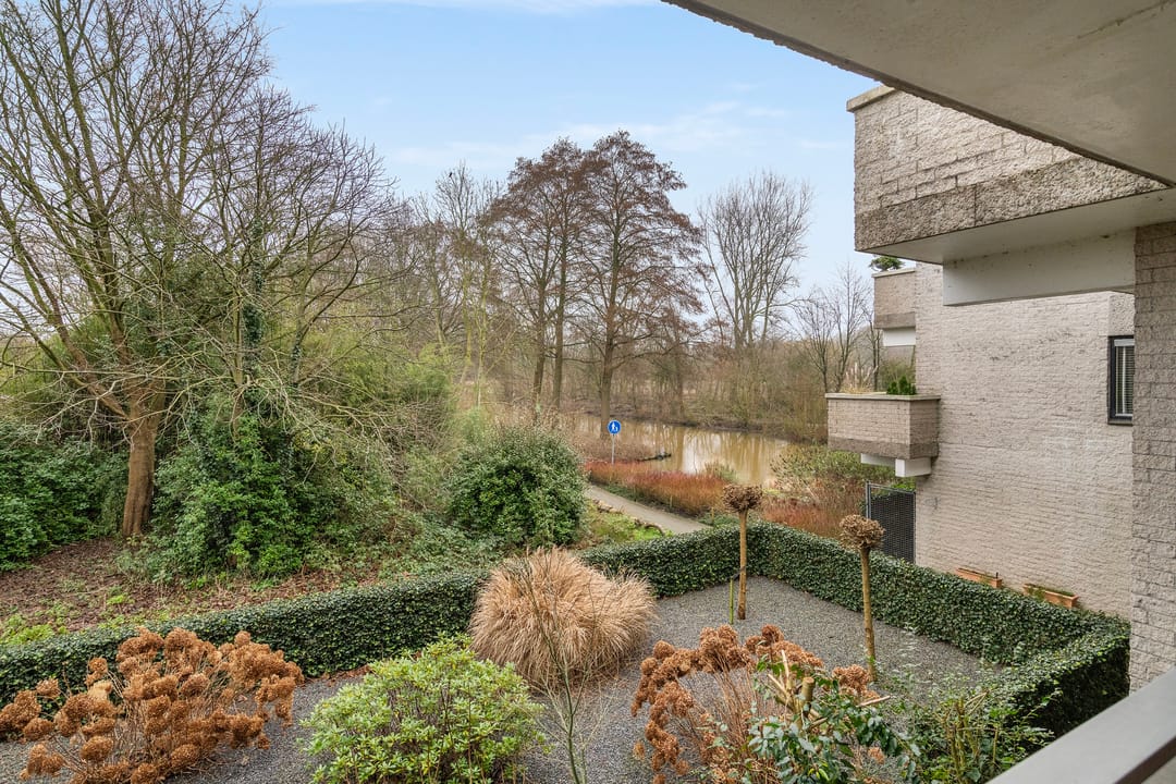 Foto 2 van Sterrekinderen erf 88