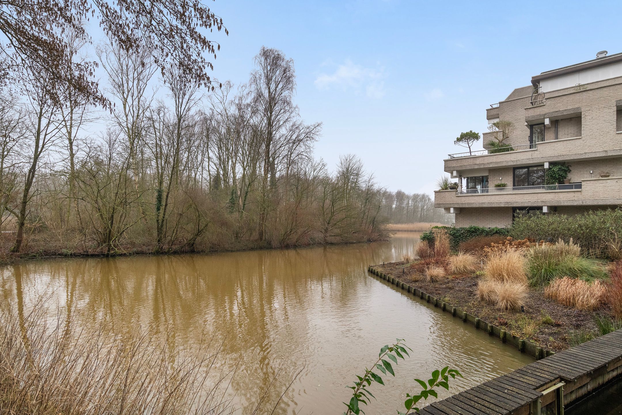 Foto 45 van Sterrekinderen erf 88